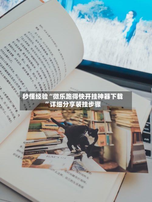 秒懂经验“微乐跑得快开挂神器下载	”详细分享装挂步骤-第2张图片