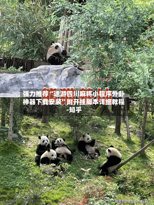 强力推荐“途游四川麻将小程序外卦神器下载安装”附开挂脚本详细教程-知乎-第3张图片