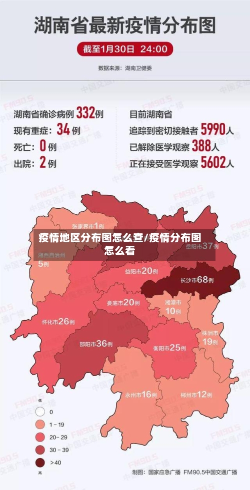疫情地区分布图怎么查/疫情分布图怎么看-第2张图片