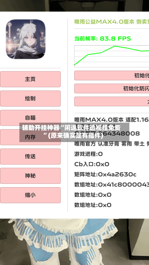 辅助开挂神器“闲逸软件透视挂免费”(原来确实是有插件)