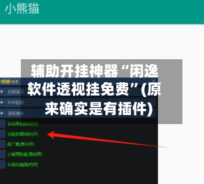 辅助开挂神器“闲逸软件透视挂免费”(原来确实是有插件)-第3张图片