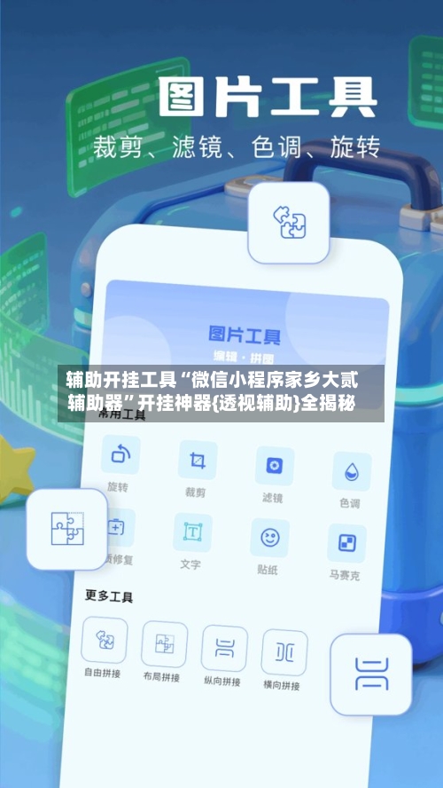 辅助开挂工具“微信小程序家乡大贰辅助器	”开挂神器{透视辅助}全揭秘-第2张图片