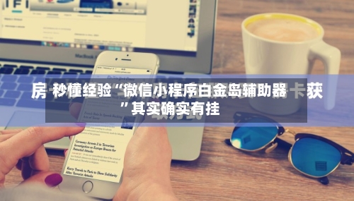 秒懂经验“微信小程序白金岛辅助器”其实确实有挂-第2张图片