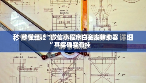 秒懂经验“微信小程序白金岛辅助器”其实确实有挂-第3张图片