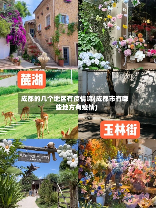 成都的几个地区有疫情嘛(成都市有哪些地方有疫情)-第2张图片