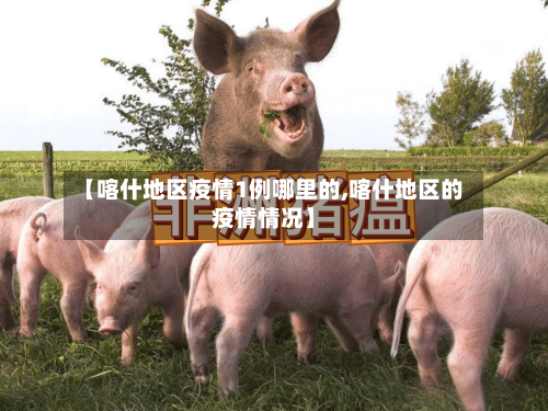 【喀什地区疫情1例哪里的,喀什地区的疫情情况】