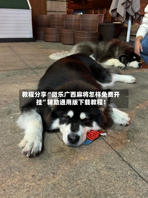 教程分享“微乐广西麻将怎样免费开挂”辅助通用版下载教程！-第2张图片