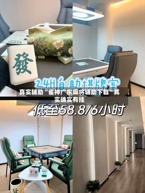 真实辅助“雀神广东麻将辅助下载”其实确实有挂-第2张图片