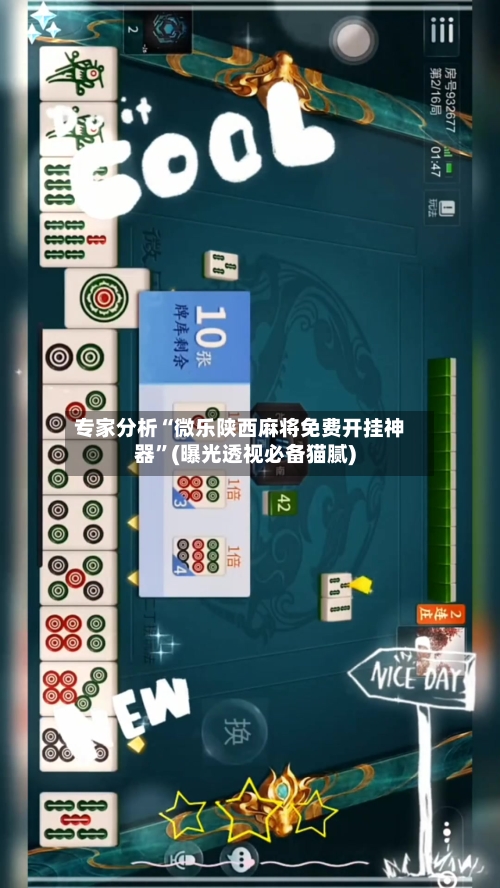专家分析“微乐陕西麻将免费开挂神器	”(曝光透视必备猫腻)-第2张图片