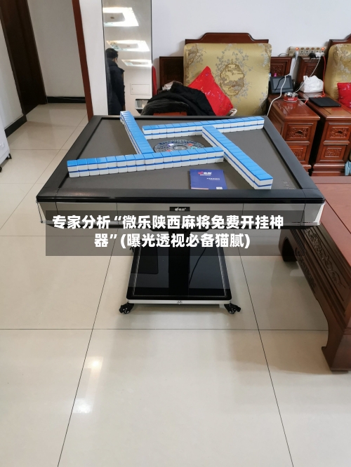 专家分析“微乐陕西麻将免费开挂神器”(曝光透视必备猫腻)-第3张图片