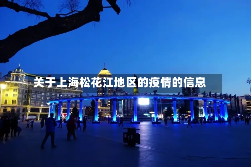关于上海松花江地区的疫情的信息