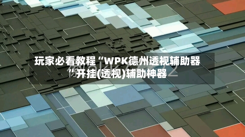玩家必看教程“WPK德州透视辅助器”开挂(透视)辅助神器-第3张图片