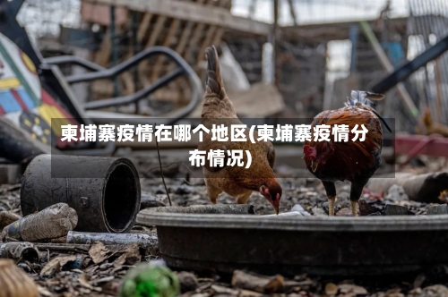 柬埔寨疫情在哪个地区(柬埔寨疫情分布情况)-第2张图片