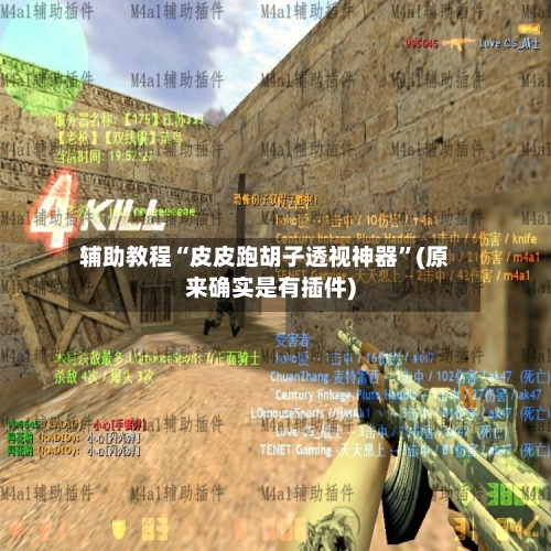 辅助教程“皮皮跑胡子透视神器”(原来确实是有插件)-第2张图片