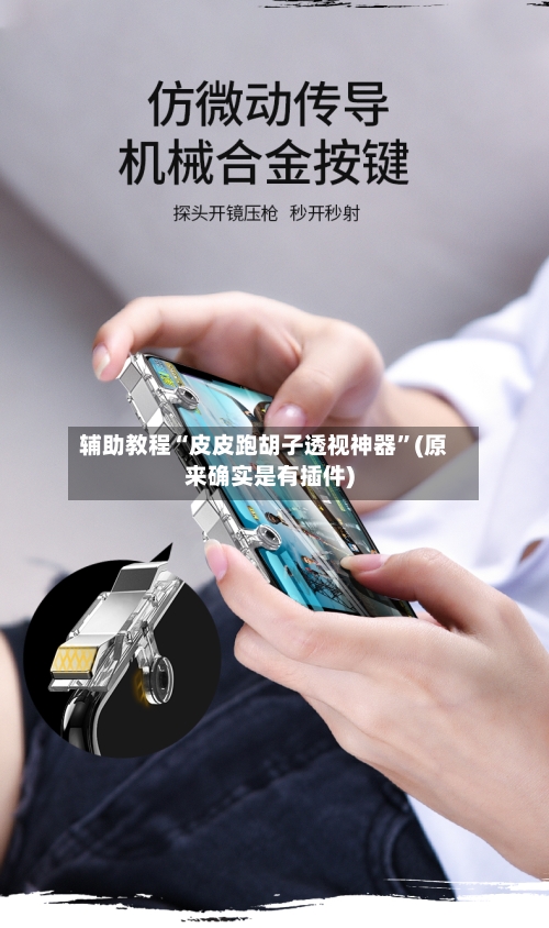 辅助教程“皮皮跑胡子透视神器”(原来确实是有插件)-第3张图片