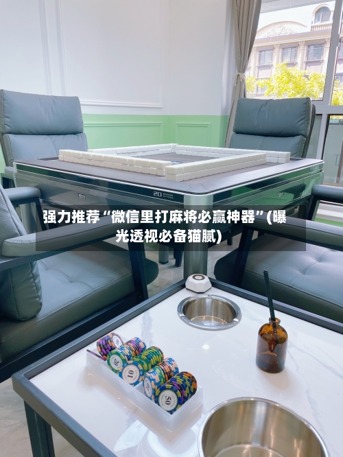 强力推荐“微信里打麻将必赢神器	”(曝光透视必备猫腻)-第2张图片