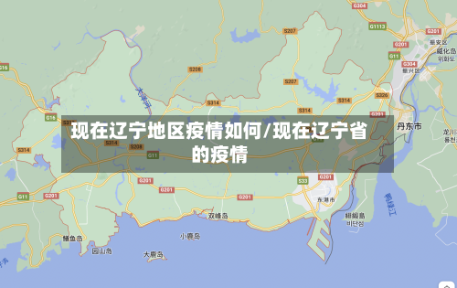 现在辽宁地区疫情如何/现在辽宁省的疫情-第2张图片