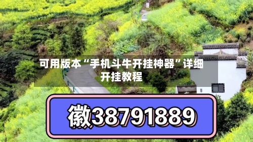 可用版本“手机斗牛开挂神器”详细开挂教程