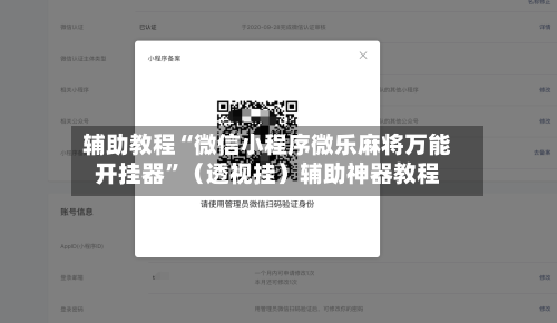 辅助教程“微信小程序微乐麻将万能开挂器	”（透视挂）辅助神器教程-第2张图片