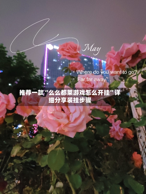 推荐一款“么么都莱游戏怎么开挂	”详细分享装挂步骤-第2张图片