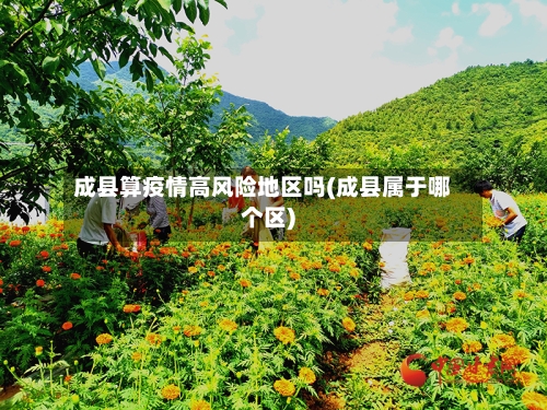 成县算疫情高风险地区吗(成县属于哪个区)-第2张图片