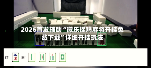 2026首发辅助“微乐捉鸡麻将开挂免费下载”详细开挂玩法-第2张图片