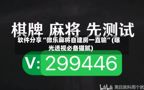 软件分享“微乐麻将自建房一直输”(曝光透视必备猫腻)-第3张图片