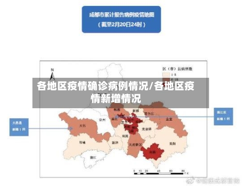 各地区疫情确诊病例情况/各地区疫情新增情况-第2张图片