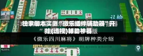 独家脚本实测“微乐插件辅助器”开挂(透视)辅助神器-第2张图片