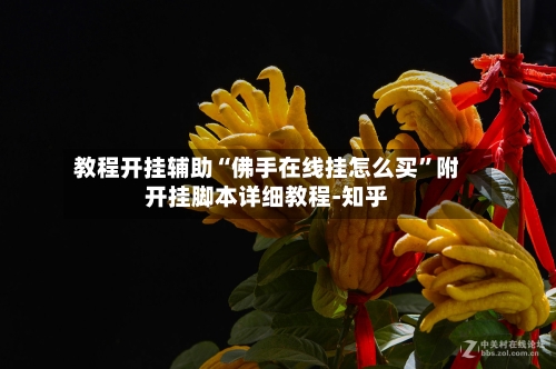 教程开挂辅助“佛手在线挂怎么买	”附开挂脚本详细教程-知乎-第2张图片