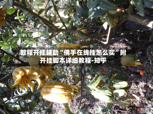 教程开挂辅助“佛手在线挂怎么买”附开挂脚本详细教程-知乎