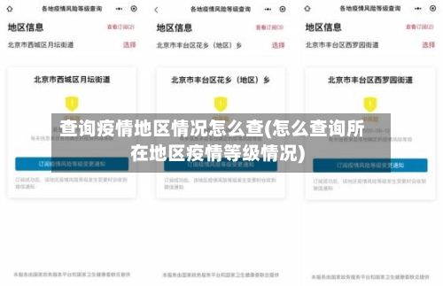 查询疫情地区情况怎么查(怎么查询所在地区疫情等级情况)-第2张图片