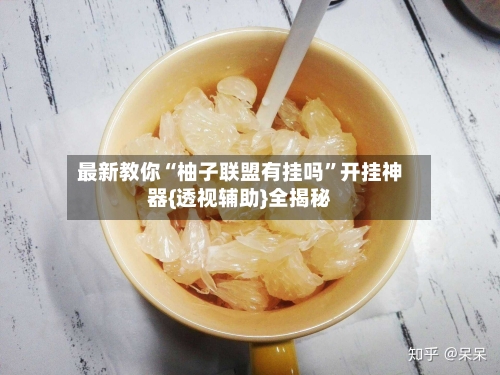 最新教你“柚子联盟有挂吗”开挂神器{透视辅助}全揭秘-第2张图片