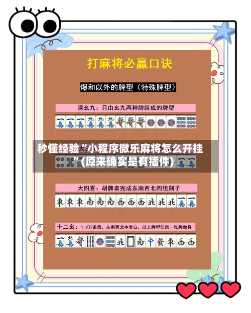 秒懂经验“小程序微乐麻将怎么开挂”(原来确实是有插件)-第3张图片