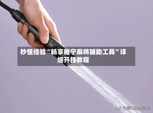 秒懂经验“畅享睢宁麻将辅助工具	”详细开挂教程-第2张图片