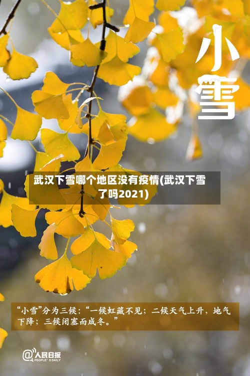 武汉下雪哪个地区没有疫情(武汉下雪了吗2021)-第2张图片