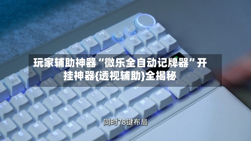 玩家辅助神器“微乐全自动记牌器”开挂神器{透视辅助}全揭秘-第3张图片