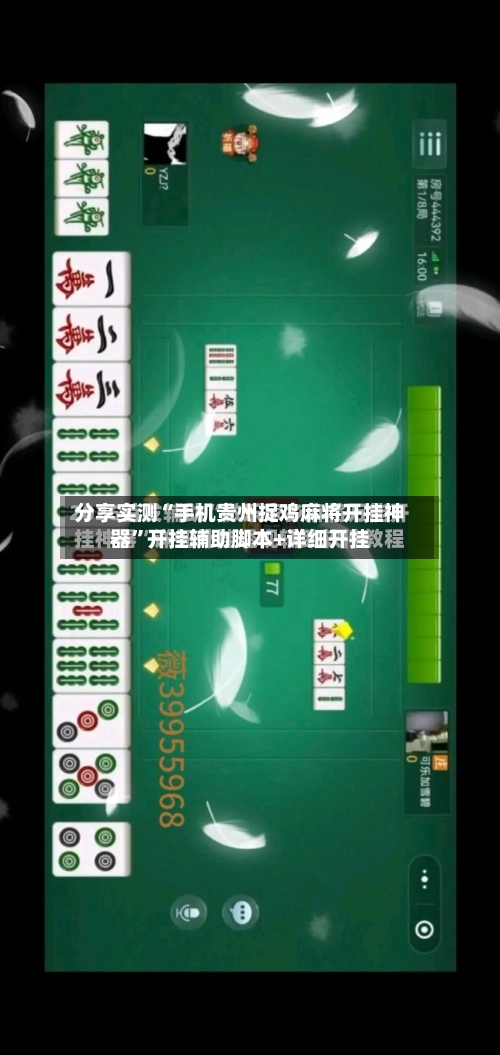 分享实测“手机贵州捉鸡麻将开挂神器”开挂辅助脚本+详细开挂-第3张图片