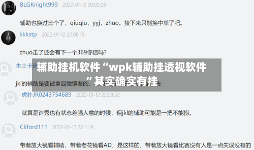 辅助挂机软件“wpk辅助挂透视软件”其实确实有挂-第2张图片