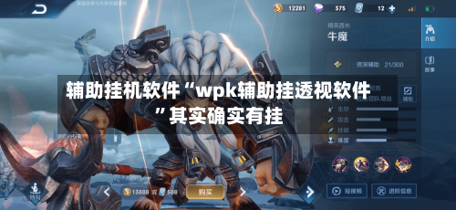 辅助挂机软件“wpk辅助挂透视软件”其实确实有挂