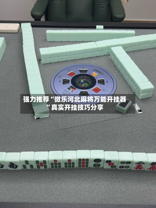 强力推荐“微乐河北麻将万能开挂器	”真实开挂技巧分享-第2张图片