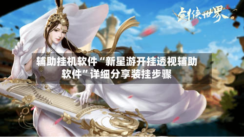 辅助挂机软件“新星游开挂透视辅助软件”详细分享装挂步骤