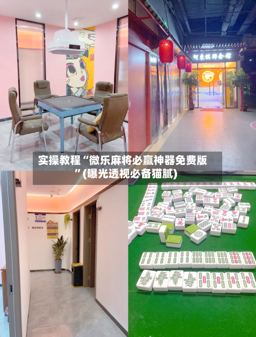 实操教程“微乐麻将必赢神器免费版”(曝光透视必备猫腻)