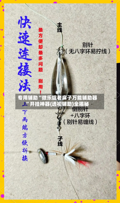 专用辅助“微乐捉老麻子万能辅助器”开挂神器{透视辅助}全揭秘