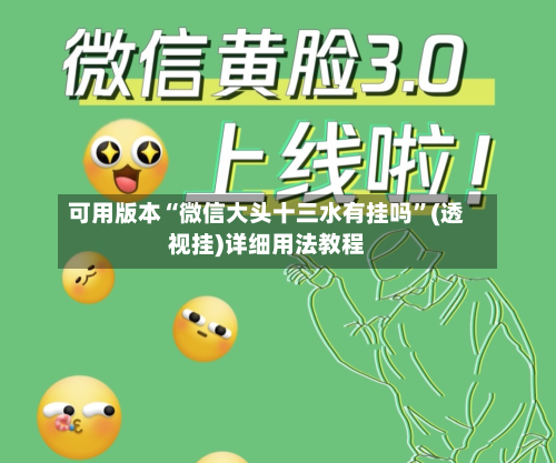 可用版本“微信大头十三水有挂吗”(透视挂)详细用法教程-第2张图片