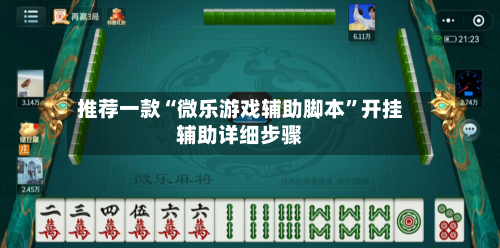 推荐一款“微乐游戏辅助脚本	”开挂辅助详细步骤-第2张图片