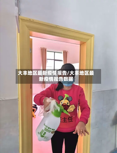 大丰地区最新疫情报告/大丰地区最新疫情报告数据