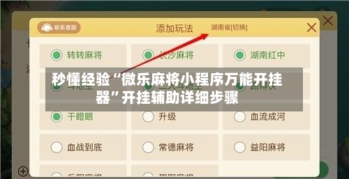 秒懂经验“微乐麻将小程序万能开挂器”开挂辅助详细步骤-第3张图片
