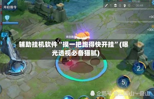 辅助挂机软件“摸一把跑得快开挂”(曝光透视必备猫腻)