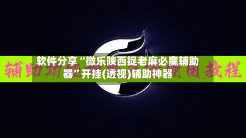 软件分享“微乐陕西捉老麻必赢辅助器”开挂(透视)辅助神器